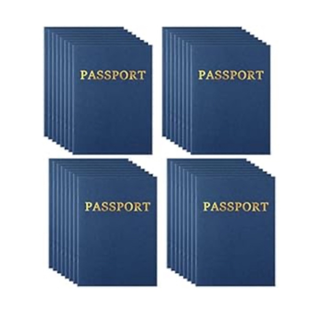 Lewtemi 48 Pcs Kids Blank Passport Notebook Pretend Pass Port -New in box